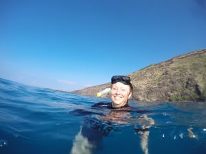 Jag simmar med delfiner Hawaii